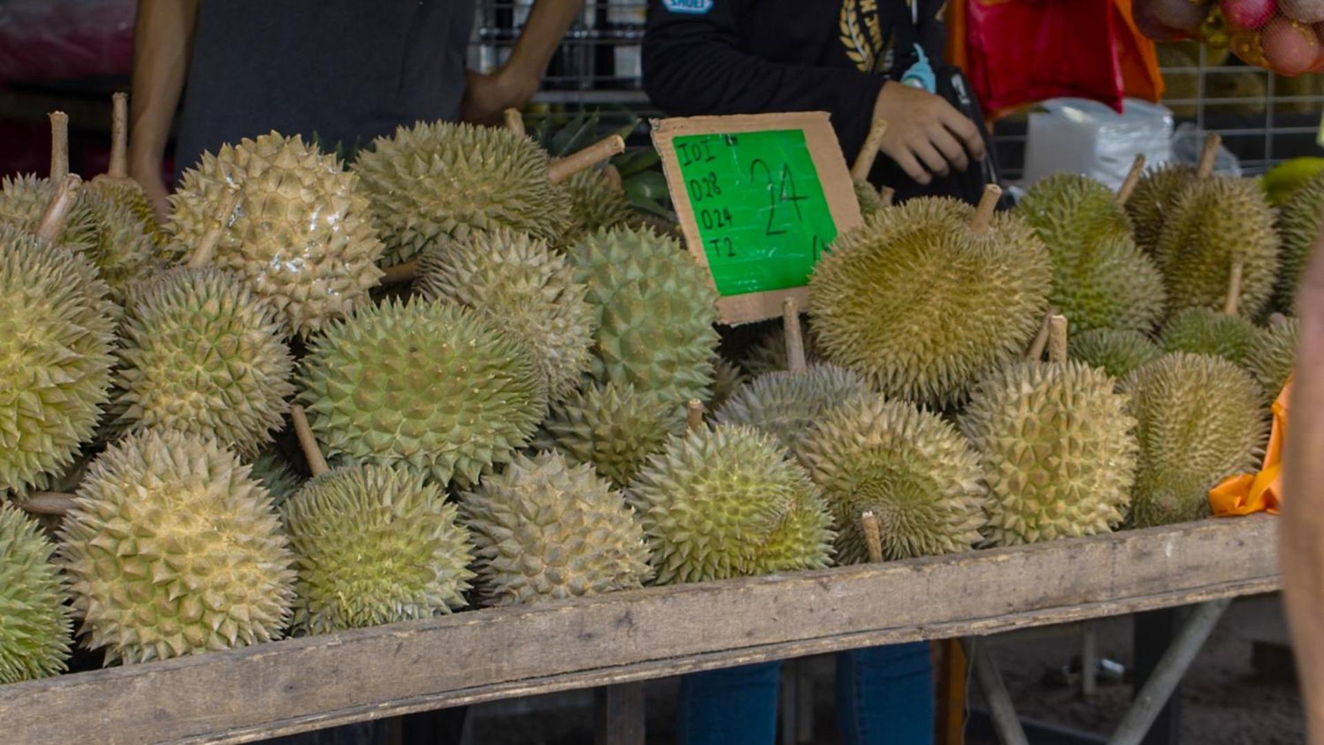 فيلا The Dusun سِريمبان المظهر الخارجي الصورة